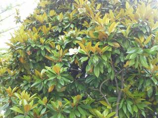20140606_141329.jpg