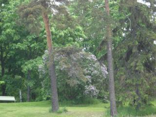 DSC05024.JPG