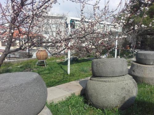 20150324_094257.jpg