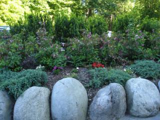 DSC05258.JPG
