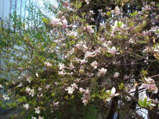 DSC04306.JPG