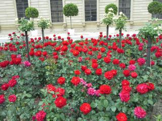 20140616_143230.jpg