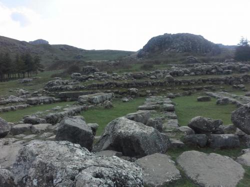 20150324_145046.jpg