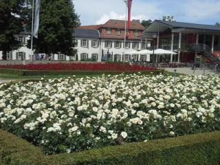 20140605_144413.jpg