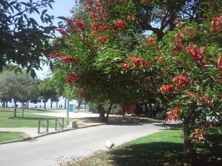 20140609_131711.jpg