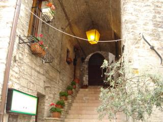 DSC04431.JPG