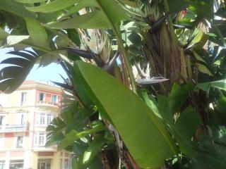 20140608_123201.jpg