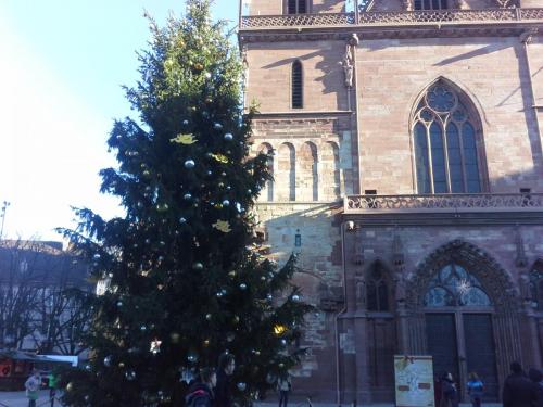 20141212_103732.jpg