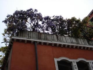 DSC04362.JPG