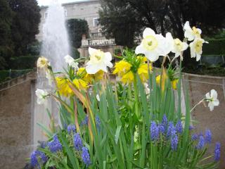 DSC04487.JPG