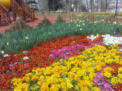20150330_103250.jpg
