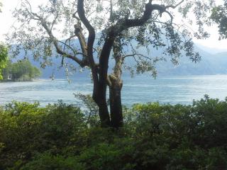 20140606_152941.jpg