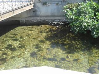 20140612_123659.jpg