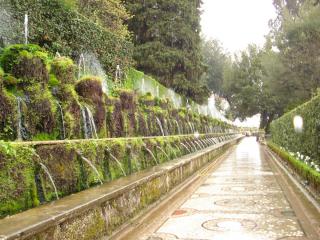 DSC04485.JPG