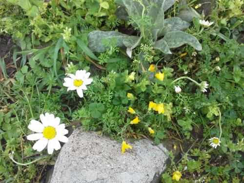 20150328_155622.jpg