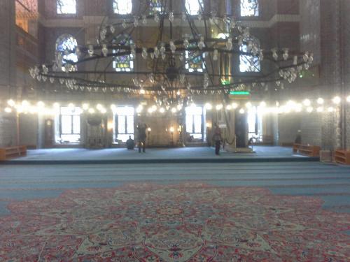 20150323_110251.jpg