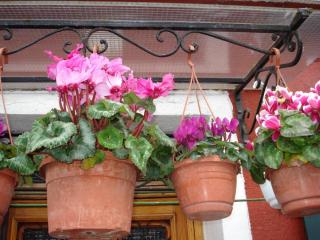 DSC04375.JPG