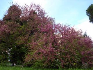 DSC04602.JPG