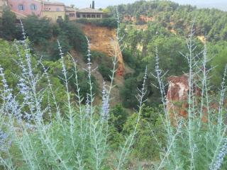 20140612_183703.jpg