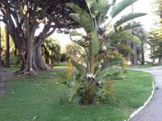 20140609_211807.jpg