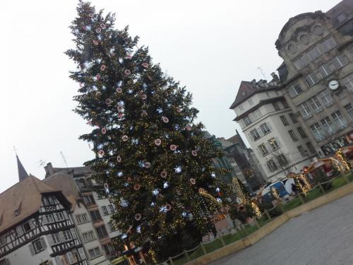 20141210_101801.jpg
