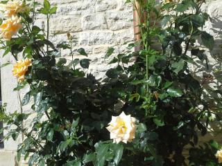 20140614_195601.jpg