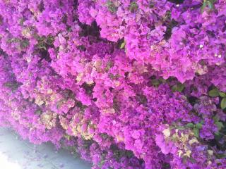 20140609_130540.jpg