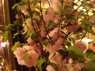 DSC04316.JPG