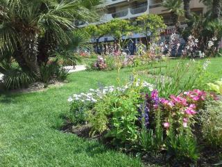 20140608_124418.jpg