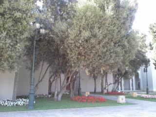 20140320_195202.jpg
