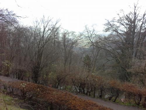 20141211_102914.jpg