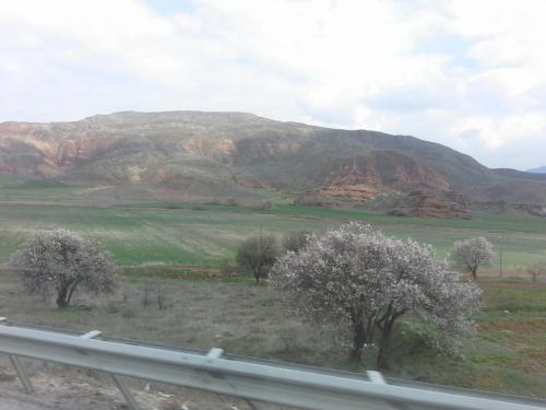 20150324_130600.jpg