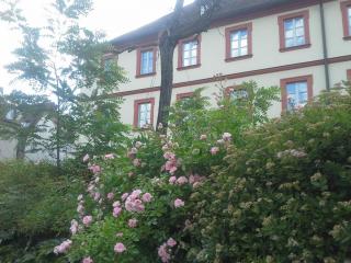 20140605_182011.jpg