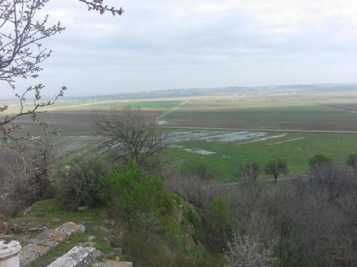 20150329_101511.jpg