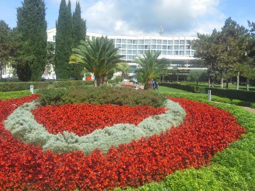 20140913_152027.jpg