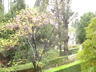 DSC04513.JPG