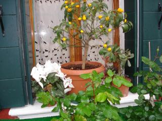 DSC04376.JPG