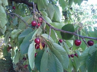 20140615_123933.jpg