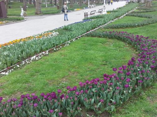20150330_095420.jpg