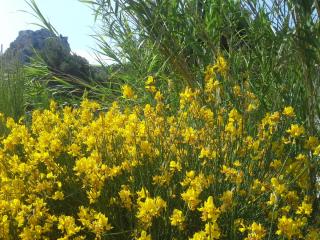 20140611_192005.jpg