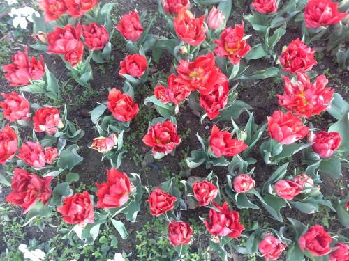 20150329_181532.jpg