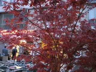 DSC04307.JPG