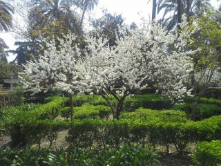 20140319_160530.jpg