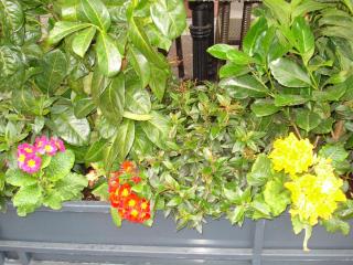 DSC04328.JPG