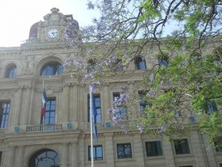 20140608_191333.jpg