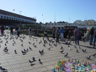 20140320_192708.jpg