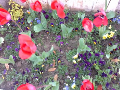 20150327_101403.jpg