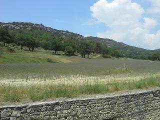 20140612_163207.jpg