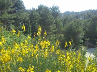 20140611_192024.jpg