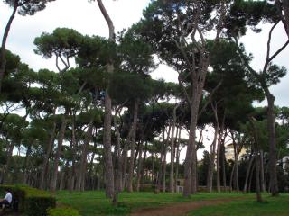 DSC04476.JPG